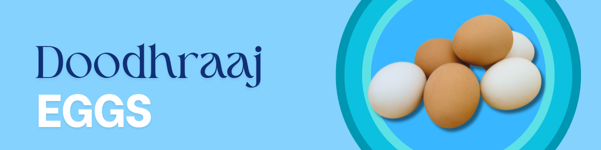 White Eggs – Fresh, Nutritious & Protein-Rich